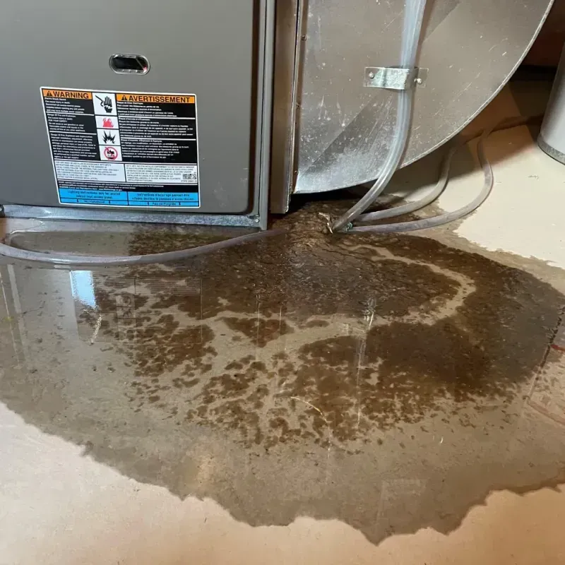 Appliance Leak Cleanup in Rawlins County, KS